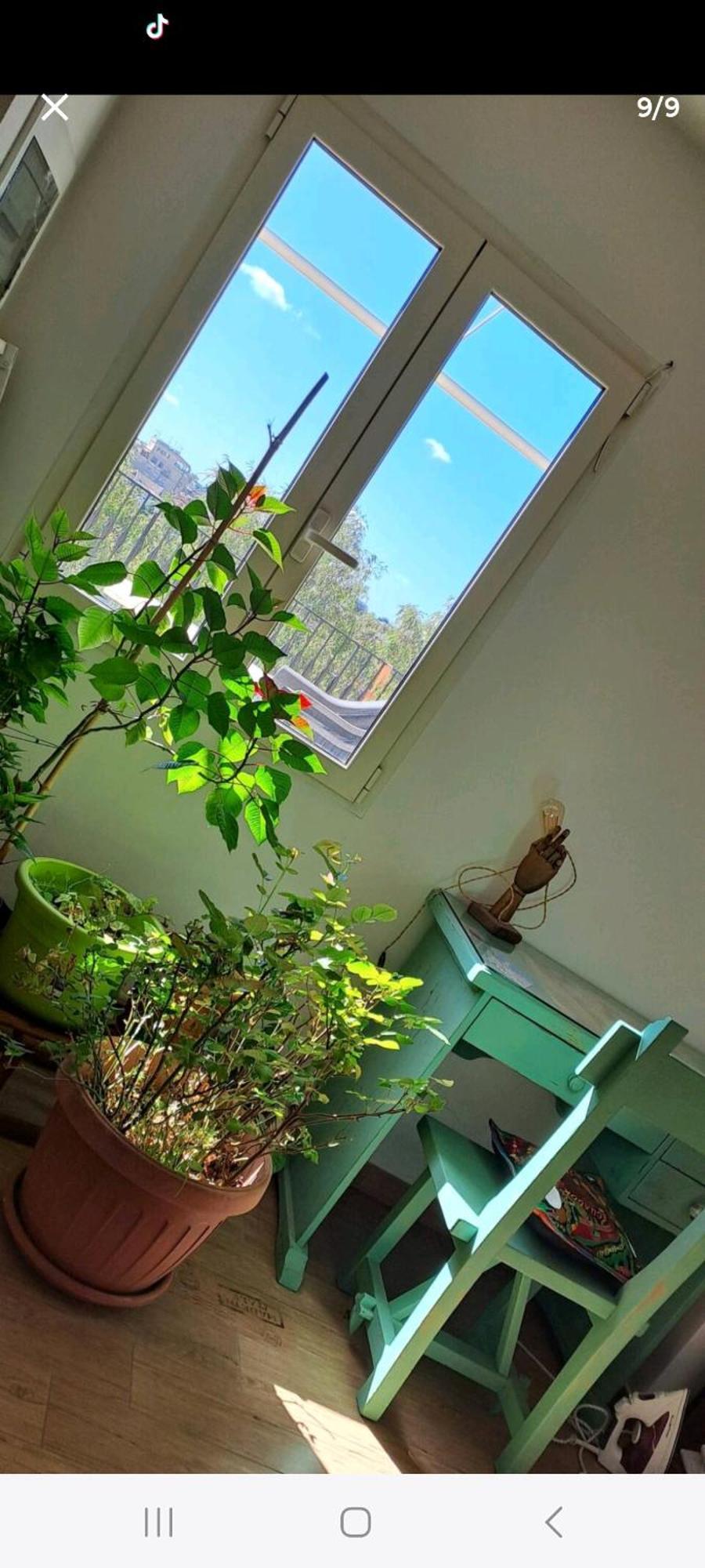 Quarto em Acomodações Particulares Stanza In Superattico, Terrazzato, Luminoso, Accogliente, Bagno Privato *